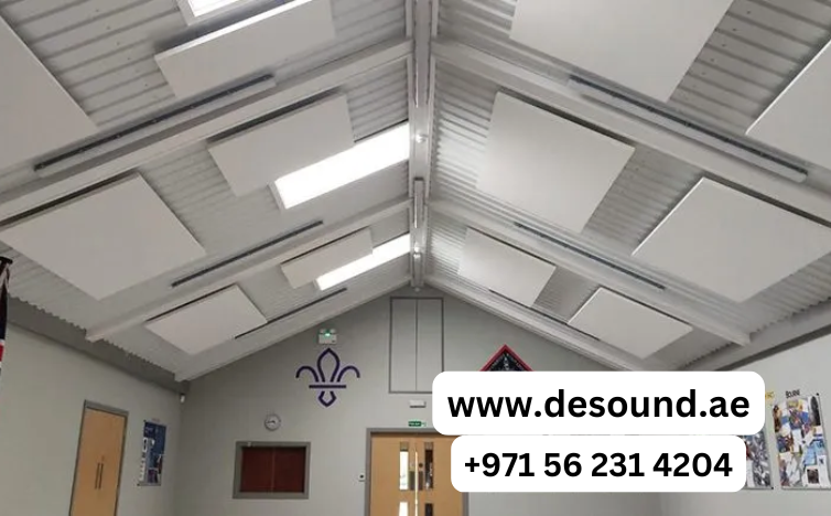 Acoustic Challenges in Village Halls