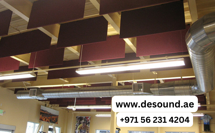 Hanging Acoustic Baffles Reduce Echo